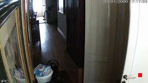 Caméra IP - IT