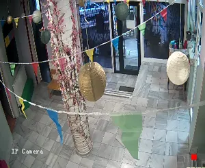 Caméra IP - GE