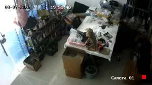 Caméra IP - CN