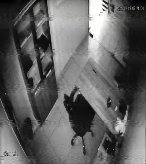 Caméra IP - US
