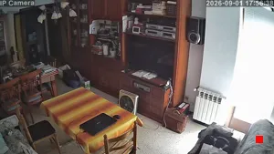 Caméra IP - ES