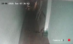 Caméra IP - TH
