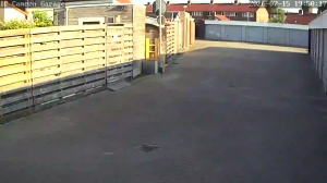 Caméra IP - NL