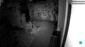 Caméra IP - IT