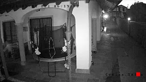 Caméra IP - IT