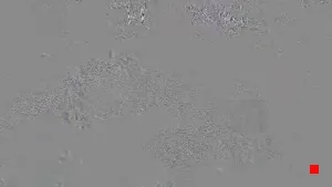 Caméra IP - IT