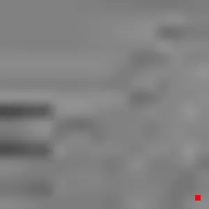 Caméra IP - IR