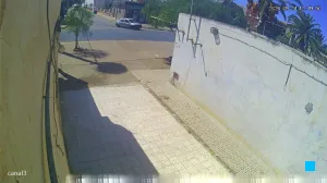 Caméra IP - DZ