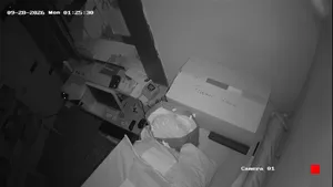 Caméra IP - AL