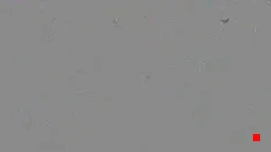 Caméra IP - ES