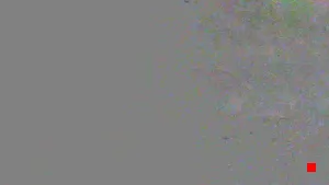 Caméra IP - US