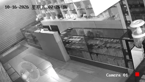Caméra IP - CN
