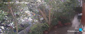 Caméra IP - IT