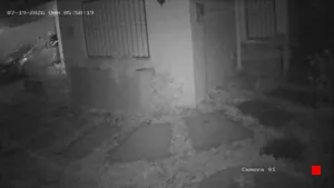 Caméra IP - UY