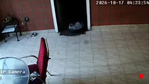 Caméra IP - AR