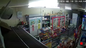 Caméra IP - NZ