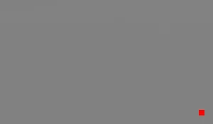 Caméra IP - US