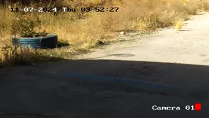 Caméra IP - IR