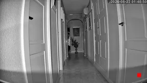Caméra IP - ES