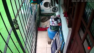 Caméra IP - UY