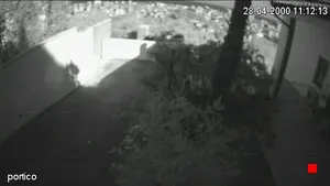 Caméra IP - IT