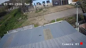 Caméra IP - UY