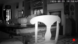 Caméra IP - IT