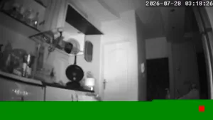 Caméra IP - IR