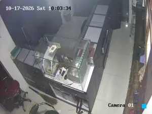Caméra IP - IN