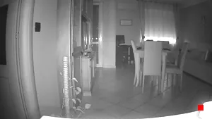 Caméra IP - IT