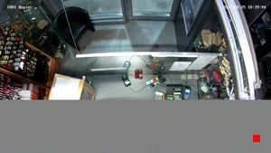 Caméra IP - PL