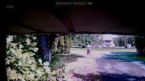 Caméra IP - US