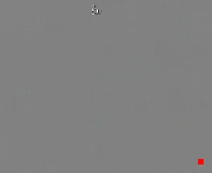 Caméra IP - IT