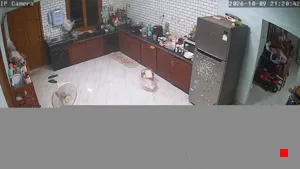 Caméra IP - TH