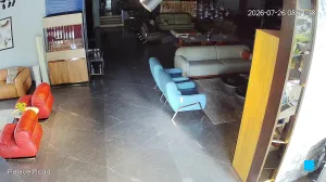 Caméra IP - IN