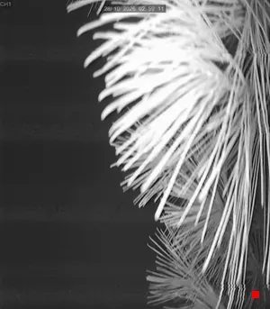 Caméra IP - IT