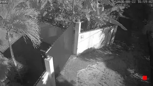 Caméra IP - DO