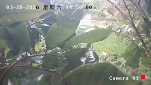 Caméra IP - CN