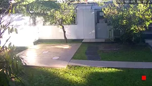 Caméra IP - UY