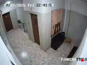 Caméra IP - IT