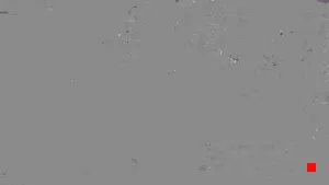 Caméra IP - IT
