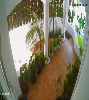 Caméra IP - MX