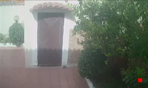 Caméra IP - IT