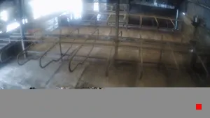 Caméra IP - IE
