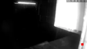 Caméra IP - DE