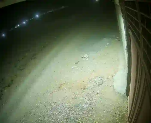 Caméra IP - IR