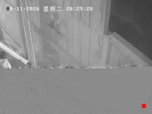 Caméra IP - NZ