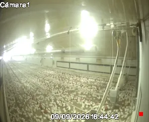 Caméra IP - ES