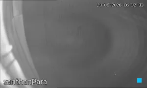 Caméra IP - IN