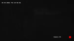Caméra IP - US